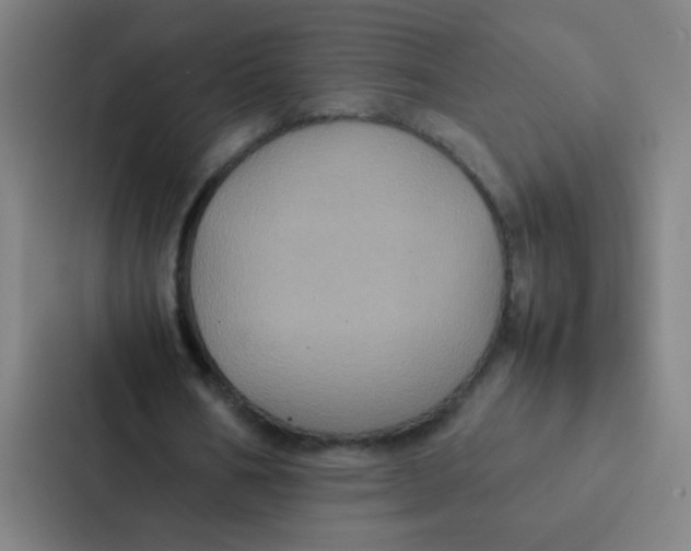X0000087330578200705112158