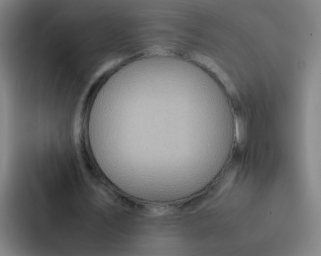 X0000087330579200705112158