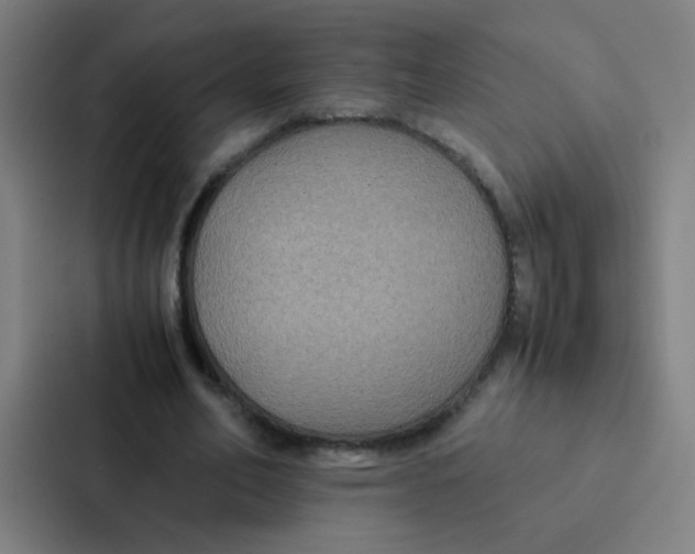 X0000087330582200705112158