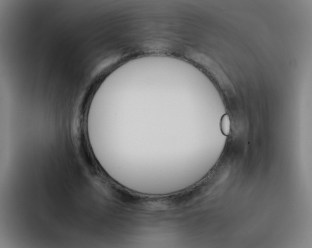 X0000087330583200705112158