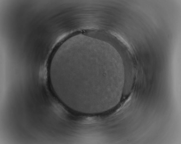 X0000087330584200705112158