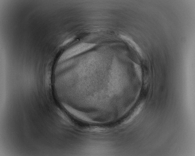X0000087330585200705112158