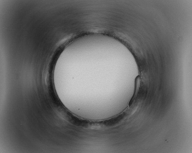 X0000087330587200705112158