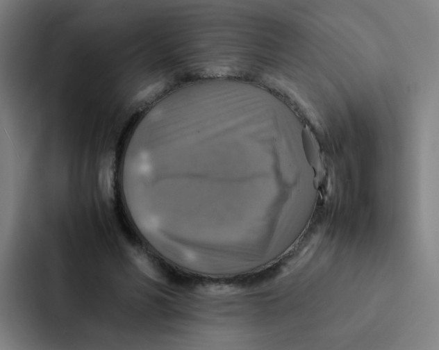X0000087330590200705112158