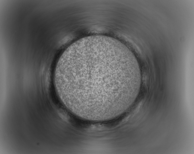 X0000087330591200705112158