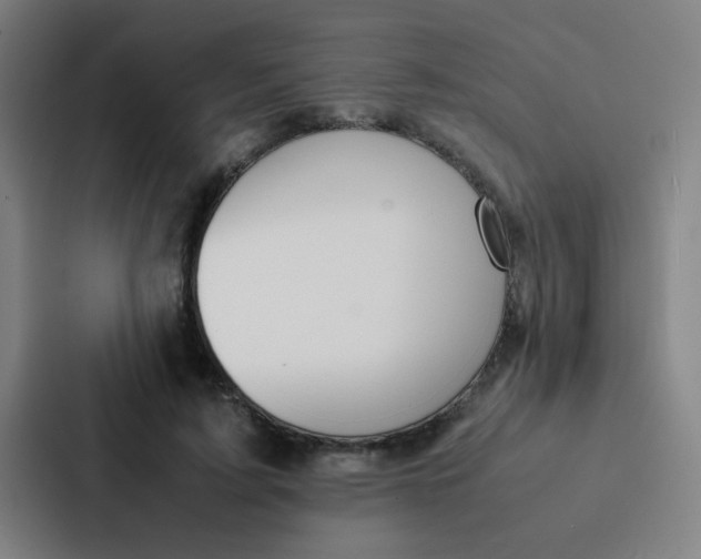X0000087330595200705112158