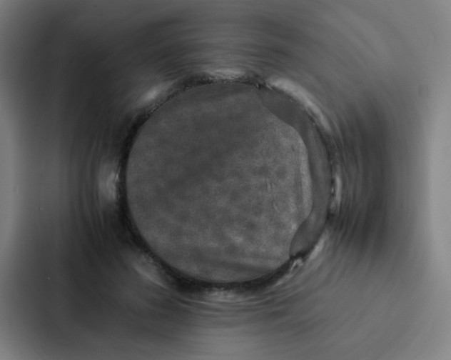 X0000087330596200705112158