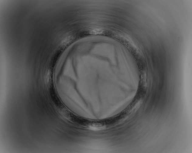 X0000087330598200705112158