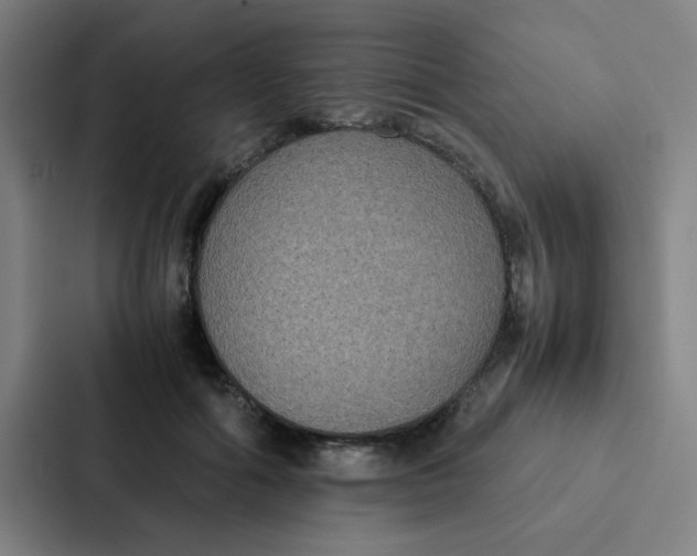 X0000087330602200705112158