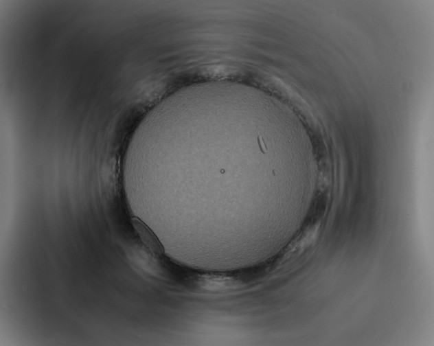 X0000087330605200705112158