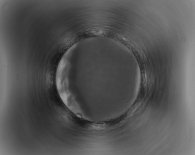 X0000087330606200705112158