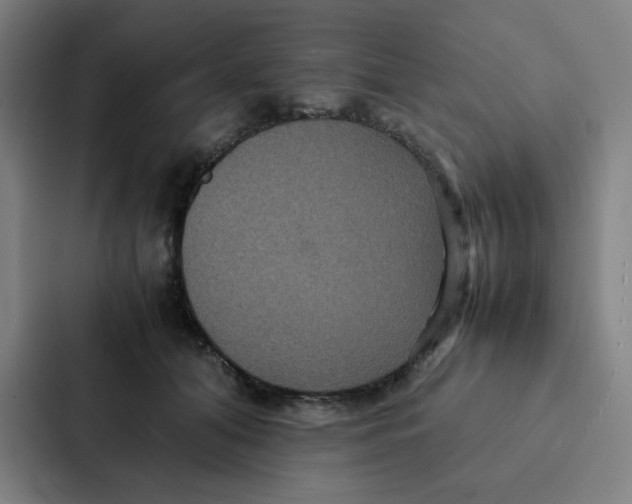 X0000087330608200705112158