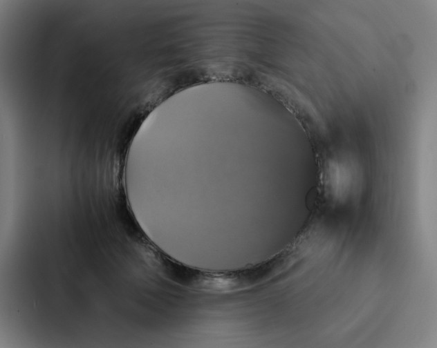 X0000087330610200705112158