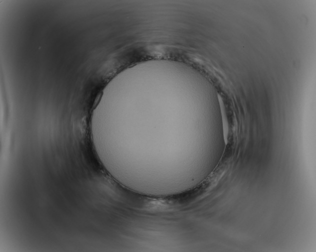 X0000087330611200705112158