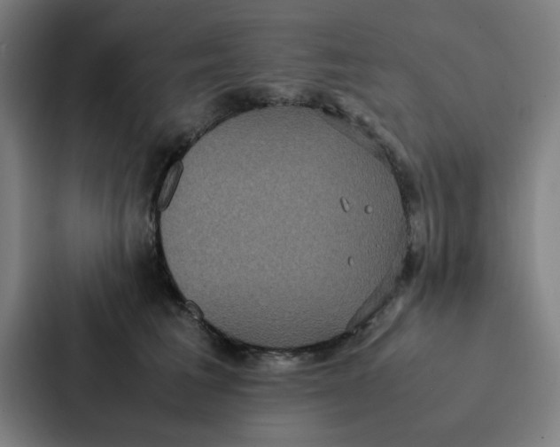 X0000087330613200705112158