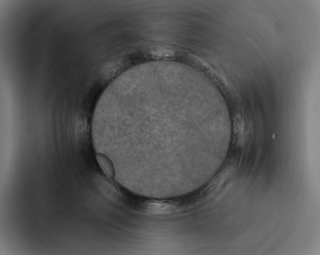 X0000087330614200705112158