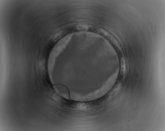 X0000087330616200705112158
