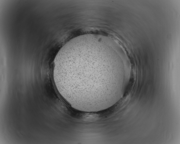 X0000087330617200705112158