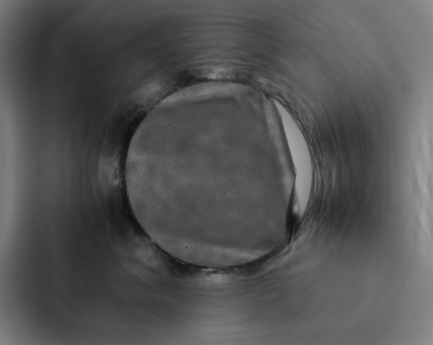 X0000087330620200705112158