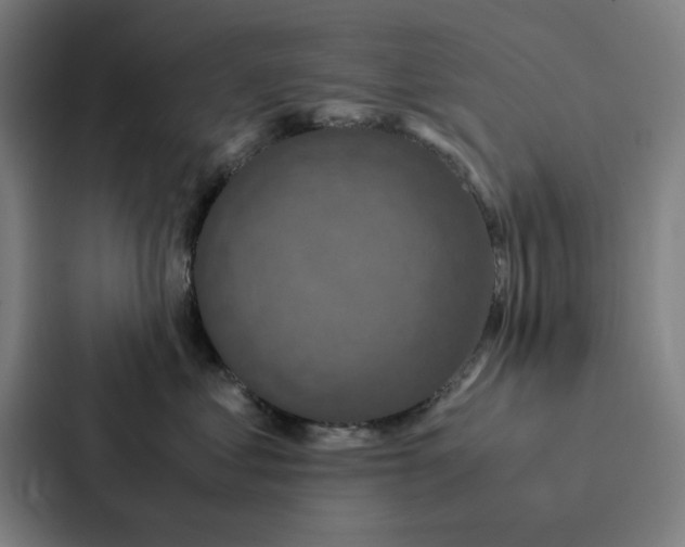 X0000087330621200705112158