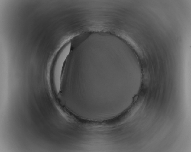 X0000087330626200705112157