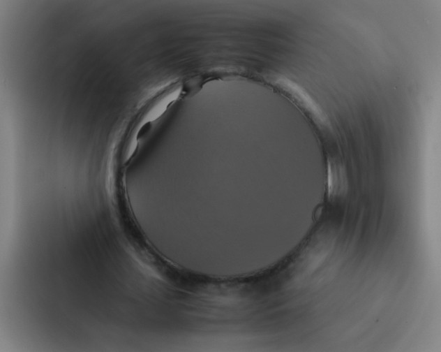 X0000087330627200705112157