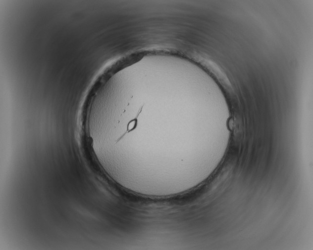 X0000087330628200705112157