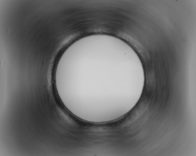 X0000087330629200705112157