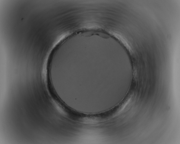 X0000087330630200705112157