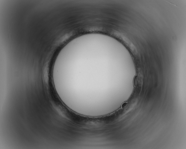 X0000087330631200705112157