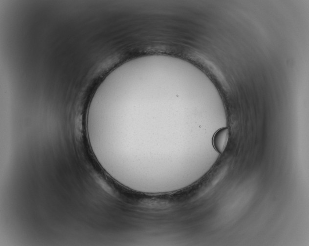 X0000087330633200705112157