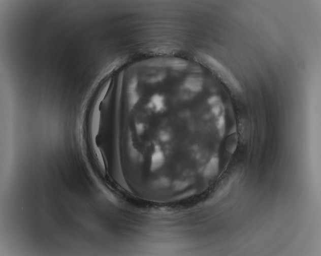 X0000087330634200705112157