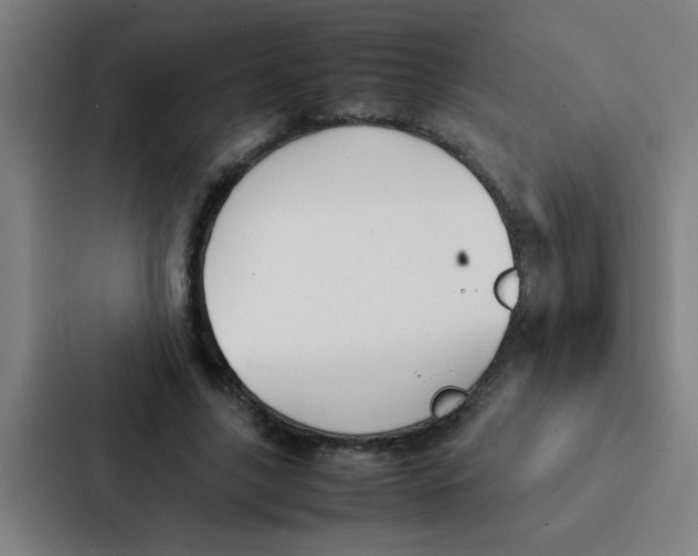 X0000087330635200705112157
