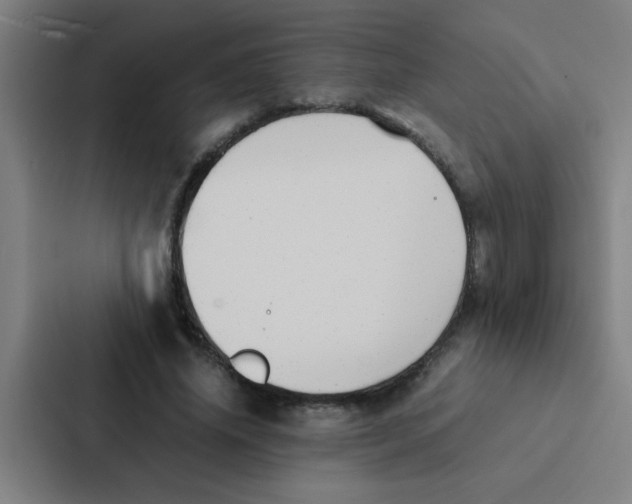 X0000087330636200705112157