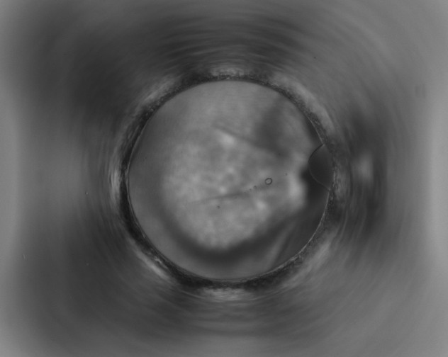 X0000087330637200705112157