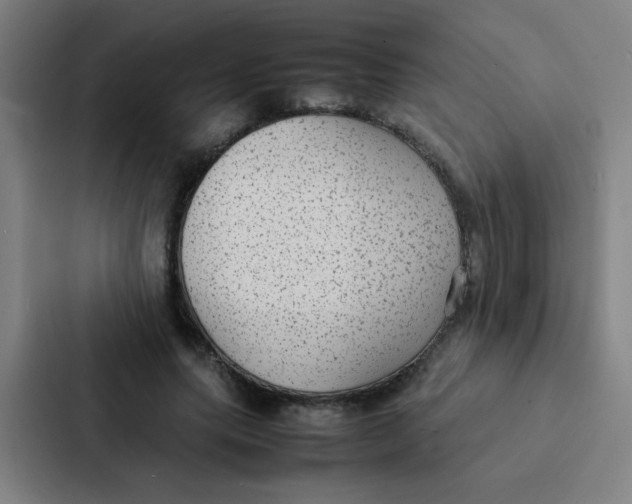 X0000087330639200705112157
