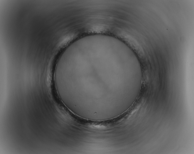 X0000087330640200705112157