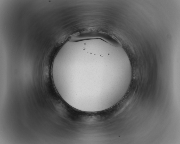 X0000087330646200705112158