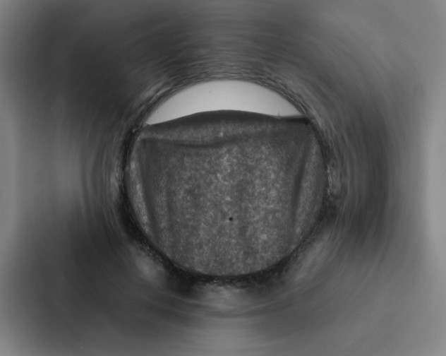 X0000087330648200705112158