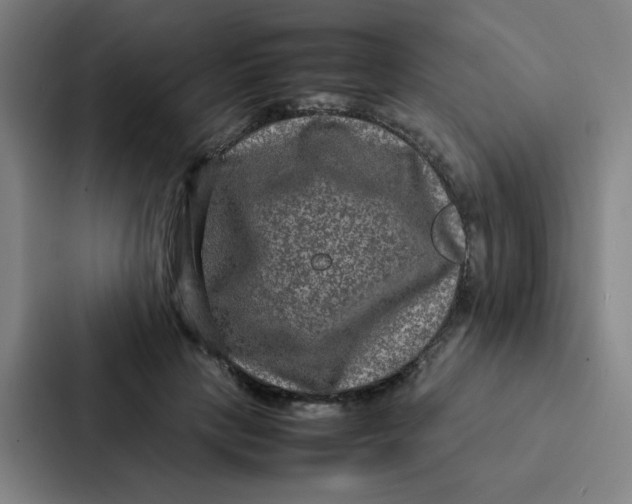 X0000087330649200705112158