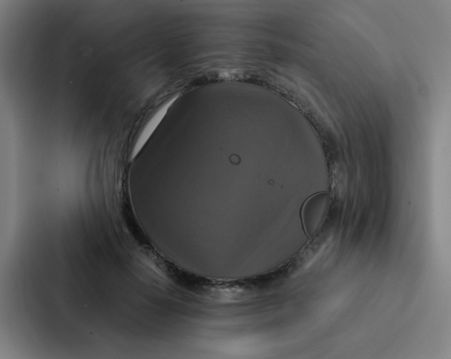 X0000087330650200705112158