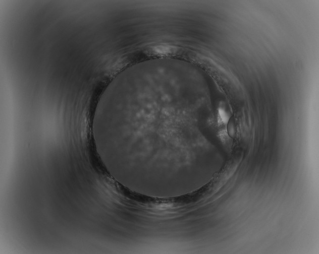 X0000087330651200705112158