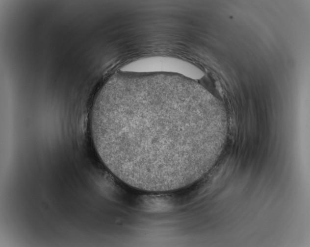 X0000087330652200705112158