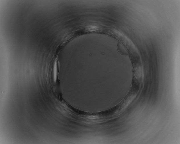 X0000087330653200705112158