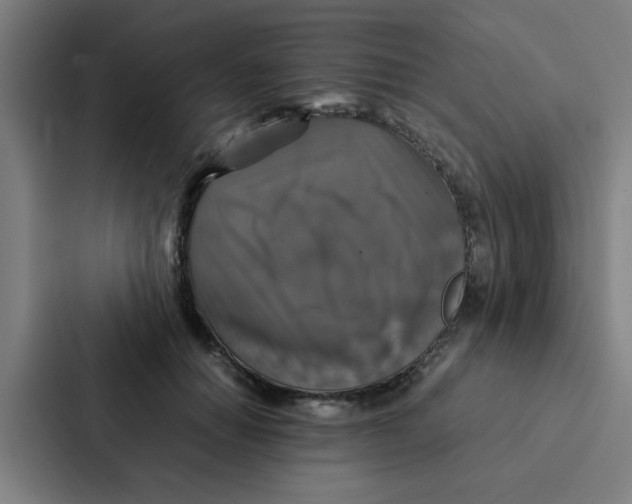 X0000087330654200705112158