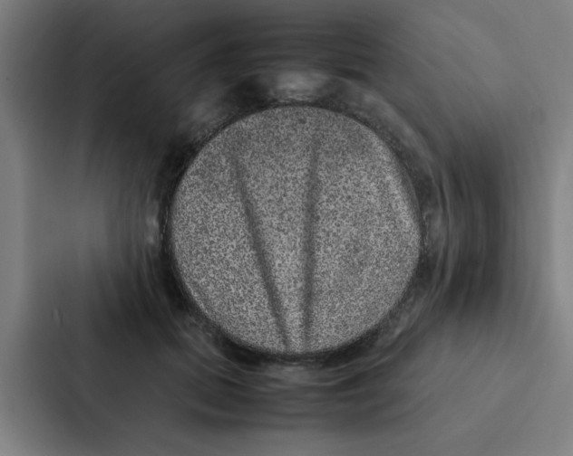 X0000087330655200705112158