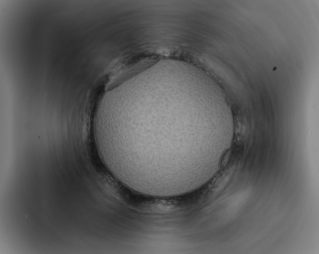 X0000087330656200705112158