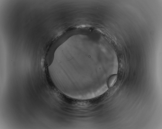 X0000087330659200705112158