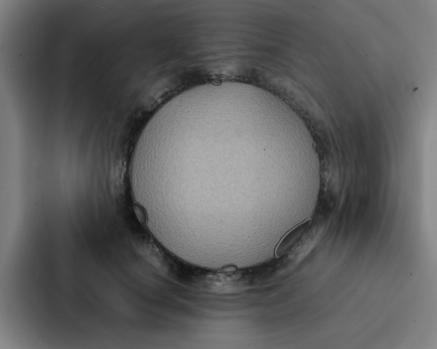 X0000087330660200705112158