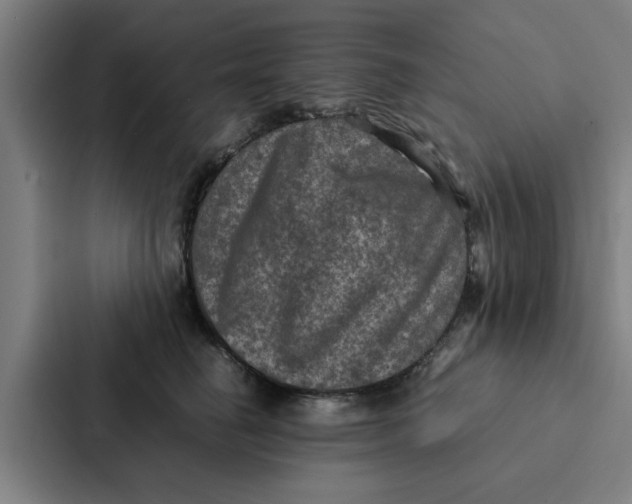 X0000087330662200705112158